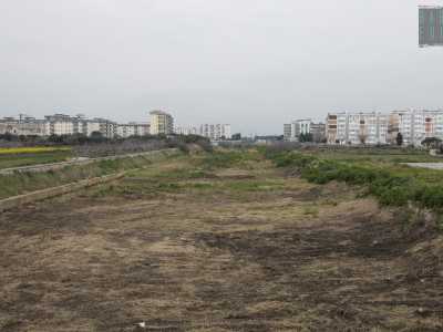 ...e volgendo dietro lo sguardo avvistiamo i palazzi che insistono su via Caldarola e le sue traverse: di colpo siamo passati da un panorama urbano a uno scenario di campagna
